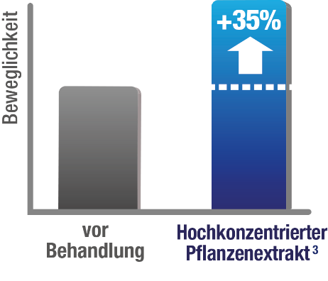 Diagramm Beweglichkeit